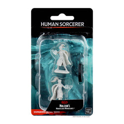 D&D Miniature Figurine - Sorcerer