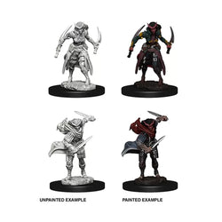 D&D Miniature Figurine - Rogue