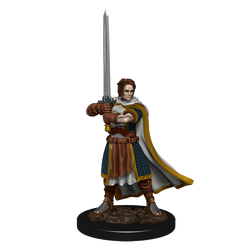 D&D Miniature Figurine - Prepainted