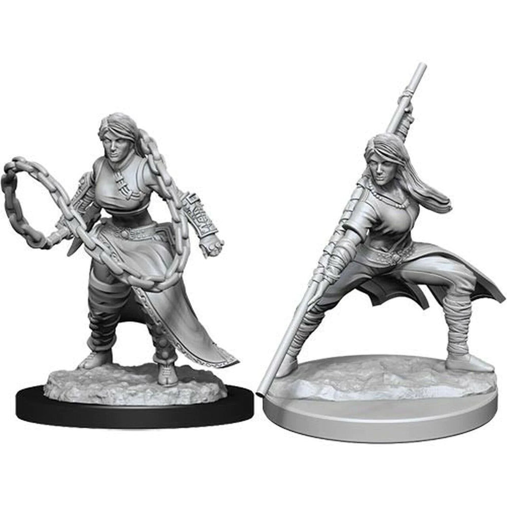 D&D Miniature Figurine - Barbarian