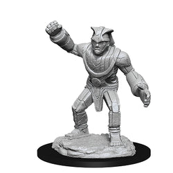 D&D Miniature Figurine - Barbarian