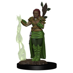 D&D Miniature Figurine - Prepainted