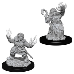 D&D Miniature Figurine - Adventurers