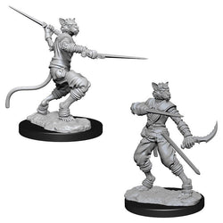 D&D Miniature Figurine - Rogue