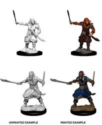 D&D Miniature Figurine - NPC/Villians