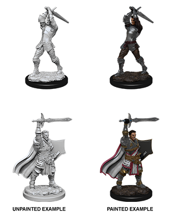 D&D Miniature Figurine - Paladin