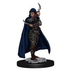 D&D Miniature Figurine - Prepainted