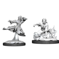 D&D Miniature Figurine - Monk