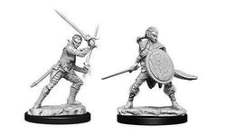 D&D Miniature Figurine - Fighter