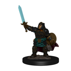 D&D Miniature Figurine - Prepainted