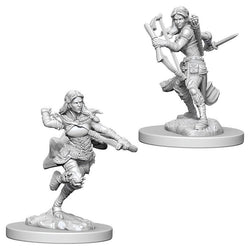 D&D Miniature Figurine - Rogue