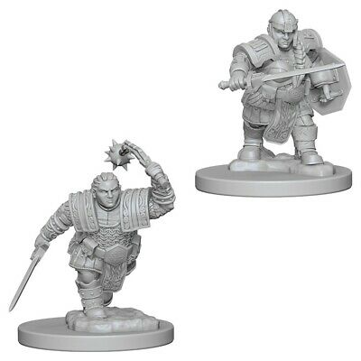 D&D Miniature Figurine - Fighter