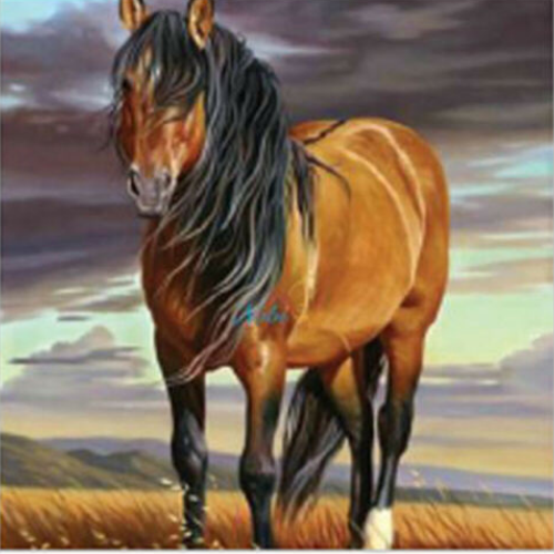 Diamond Art - Horse