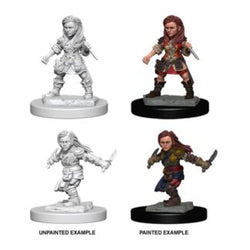 D&D Miniature Figurine - Rogue