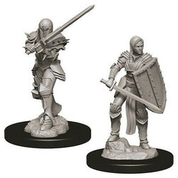 D&D Miniature Figurine - Fighter