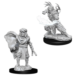 D&D Miniature Figurine - Druid