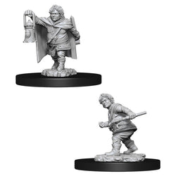 D&D Miniature Figurine - Rogue