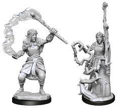 D&D Miniature Figurine - Druid