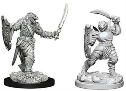 D&D Miniature Figurine - Paladin