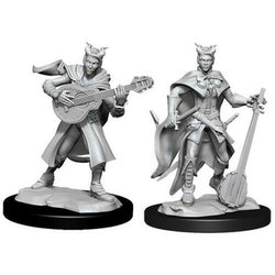 D&D Miniature Figurine - Bard