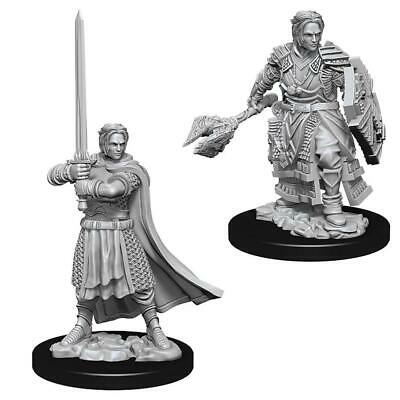 D&D Miniature Figurine - Cleric