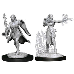 D&D Miniature Figurine - Multiclass