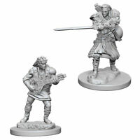 D&D Miniature Figurine - Bard