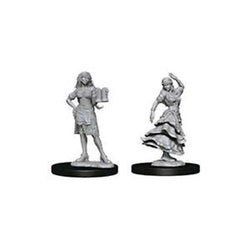 D&D Miniature Figurine - NPC/Villians