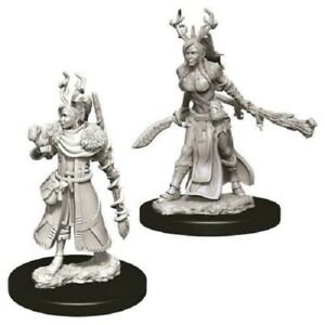 D&D Miniature Figurine - Druid