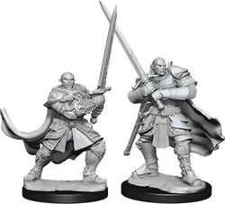 D&D Miniature Figurine - Paladin