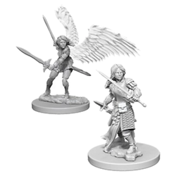 D&D Miniature Figurine - Paladin