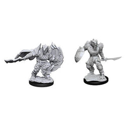 D&D Miniature Figurine - Fighter