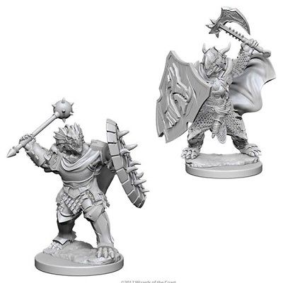 D&D Miniature Figurine - Paladin