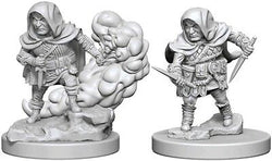 D&D Miniature Figurine - Rogue