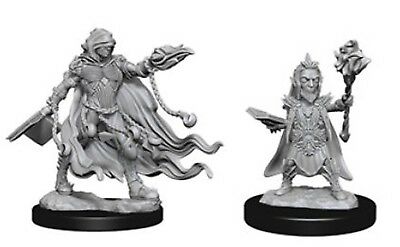 D&D Miniature Figurine - NPC/Villians