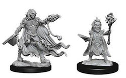 D&D Miniature Figurine - NPC/Villians
