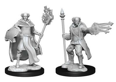 D&D Miniature Figurine - Multiclass