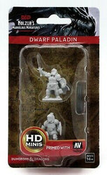 D&D Miniature Figurine - Paladin