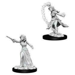 D&D Miniature Figurine - Wizard