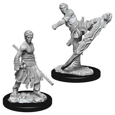 D&D Miniature Figurine - Monk