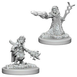 D&D Miniature Figurine - Wizard