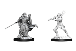 D&D Miniature Figurine - Paladin