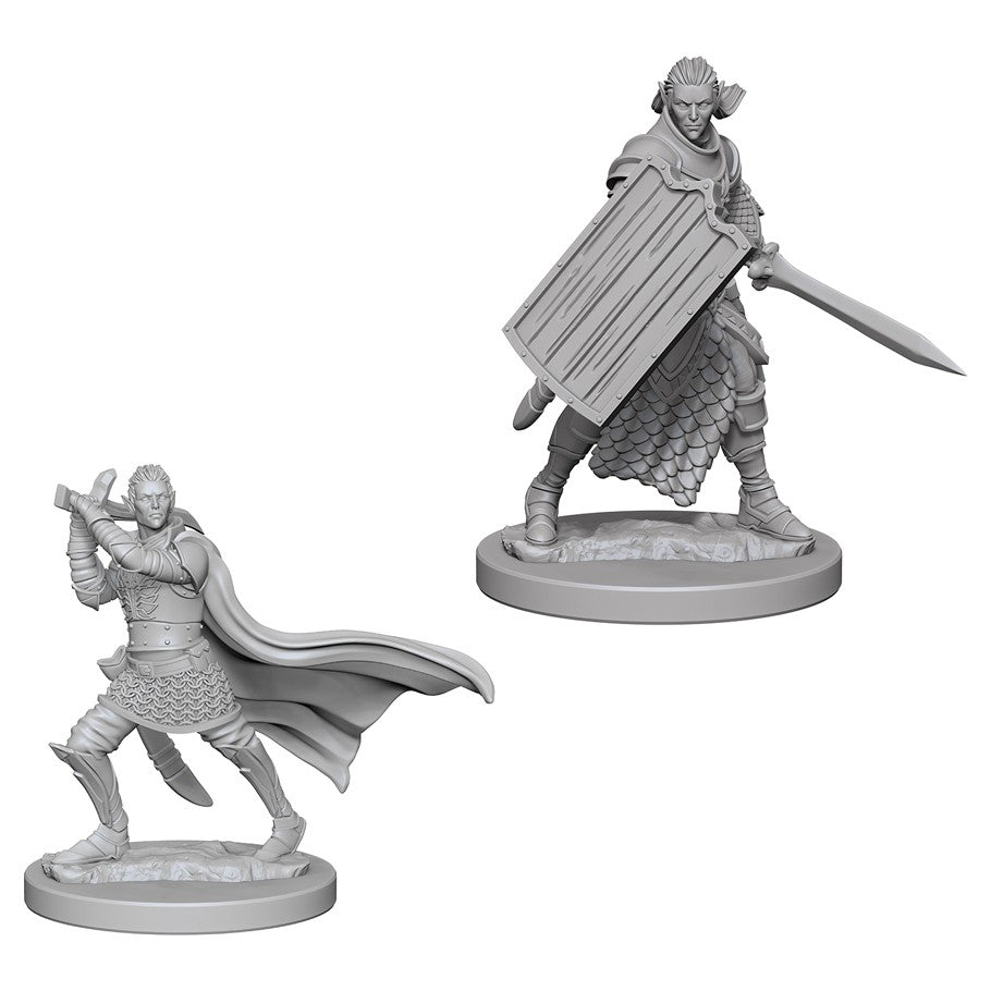 D&D Miniature Figurine - Paladin